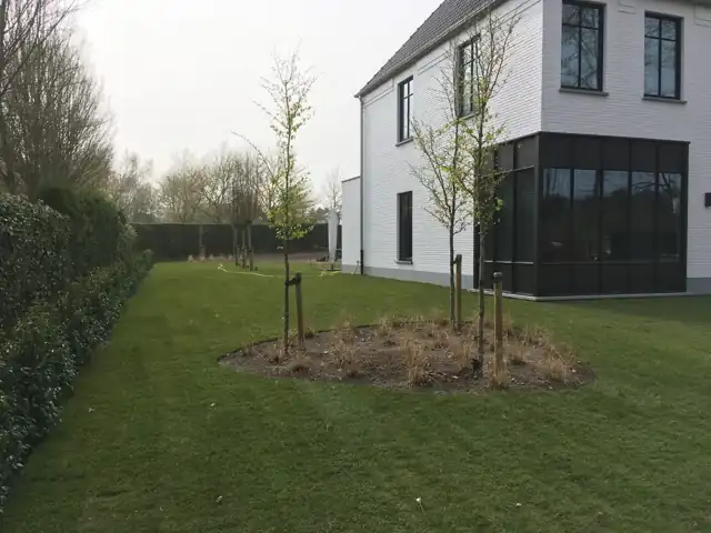 Aangelegde tuin met nieuw gazon en jonge bomen